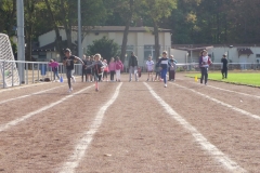 BJS-Sprint