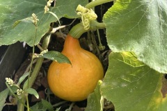 Mittel-Image-1