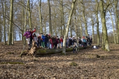 Waldeck 3