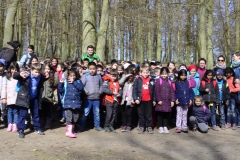 Waldeck 5